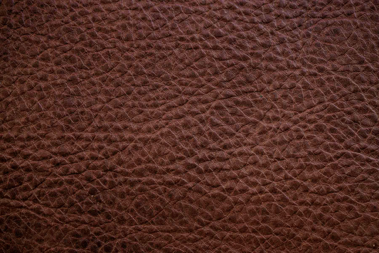 Silla Monarca COGNAC | BASE NEGRA